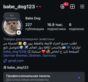 جميع انواع الكلاب الزينه