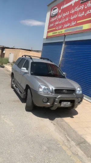 هيونداي سنتافيه 2003 وكالة