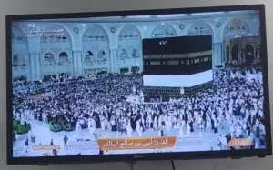 شاشة مستعمل مع الحامل 20