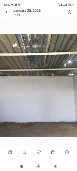 زينقو وطوبوات