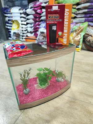 حوض سمك مجهز بالكامل ، فلتر احجار زينه شغل مكتب او غرفة نوم او هدية المقاسات داخل الوصف