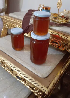 عسل بلدي مكفول مناحل مرخصه من وزارة الزراعه