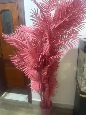 شجره زينه عدد 2