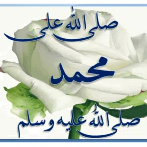 قل هو الله احد احد احد