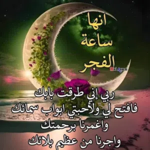 ام عامر ابو راشد 