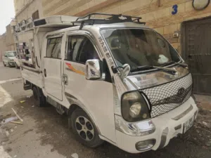 بك اب بينجو 3