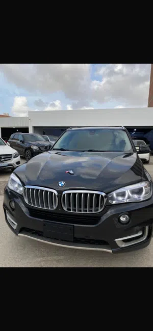Bmw 2018x5