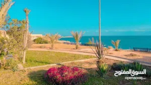 Mixed Use . 925358185 m2 . Agent1