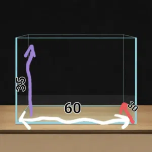 الحوض سمك وكنعدل جميع قيسات