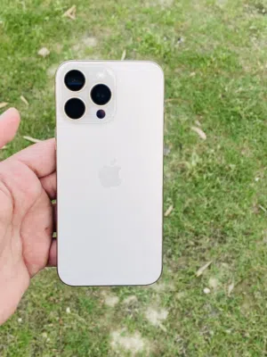 Apple iPhone 16 Pro Max 256 GB in Babylon