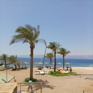 المالك مباشرة