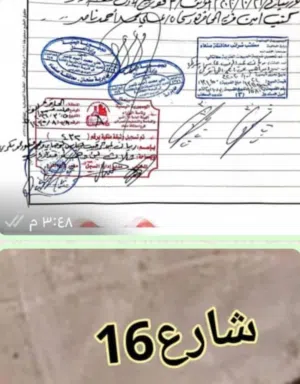 Residential Land for Sale in Sana'a Qa' Al-Qaidi