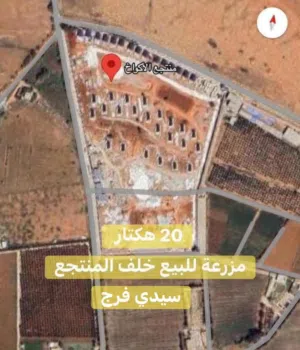 مزرعة للبيع في سيدي فرج خلف منتجع الأكواخ بالضبط
