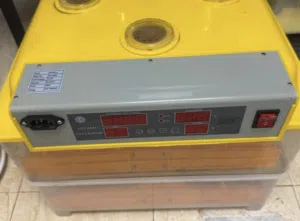 فقاصه بيض دجاج