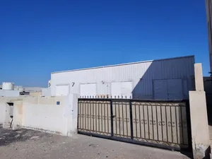 ‏سنوي ‏.‏ 240 م٢‏2