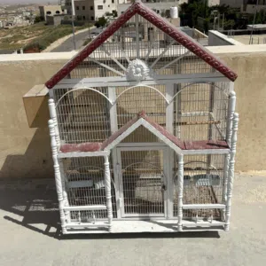 مطير عصافير او ببغاء
