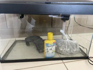 aquarium tank
