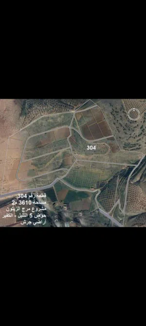 Farm Land for Sale in Jerash Other