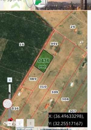 Mixed Use Land for Sale in Mafraq Al-Dafyana