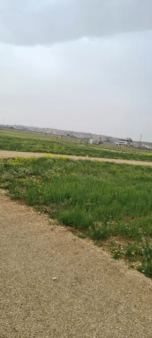 ارض استثمارية للبيع طريق المطار شارع المية رجم الشامي
