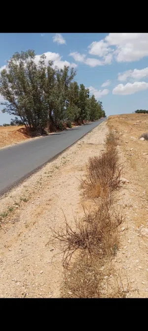 Mixed Use Land for Sale in Tarhuna AlKhadra