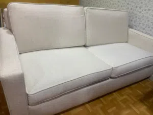 comfortable modern sofa-built in bed