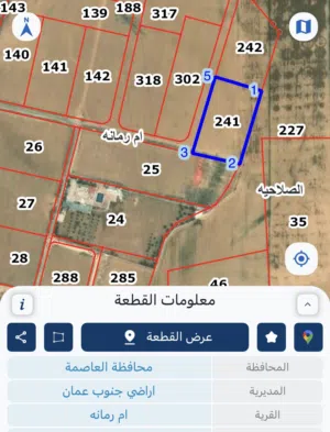 قطعة ارض ام رمانة بسعر مغري جداً