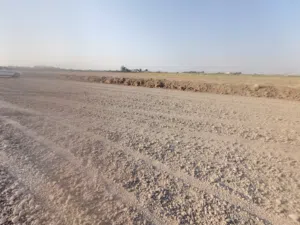 Farm Land for Sale in Diyala Baqubah