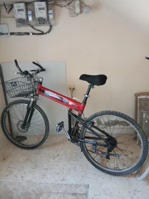 يسكليت امريكي