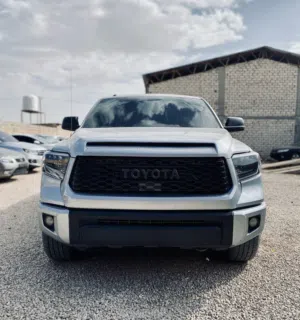 محمد الجامعي 