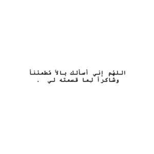طلال حسن 