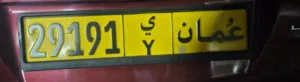 رقم سيارة مميز للبيع 29191