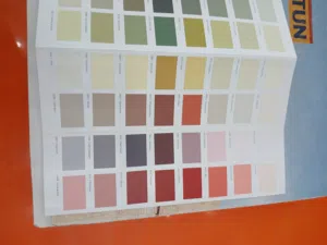 صباغ صبغ الدمام باكستاني