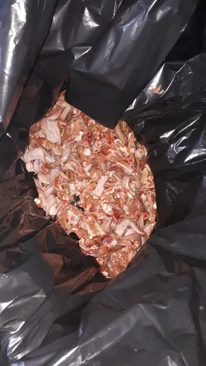 ‏طعام حيوانات ‏.‏ كلاب‏0