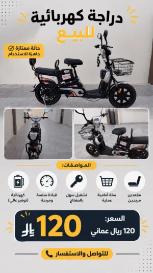 Electric Scooter Size 16 inch