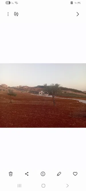 Residential Land for Sale in Madaba Al-Faisaliyyah