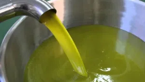 زيت زيتون بكر ممتاز عصره اولي علي البارد من قلب سينا مزارعنا مزارع المثلث الاخضر م/احمد