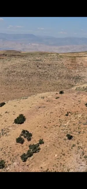 Farm Land for Sale in Salt Al Subeihi