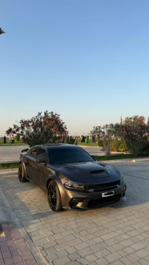 Dodge 2020 model