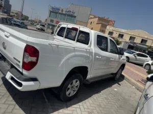 model:2019