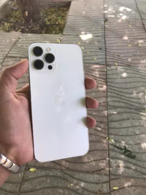 Apple iPhone 12 Pro Max 256 GB in Jerash