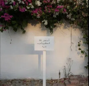 علي 