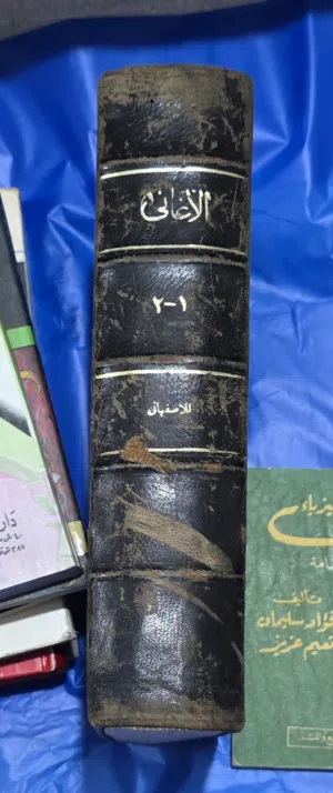 كتاب الاغاني للاصفهاني