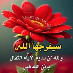 أم هشام 