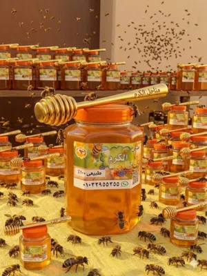 عسل نحل من خير الطبيعه