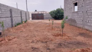 2 Bedrooms Farms for Sale in Tripoli Tajura