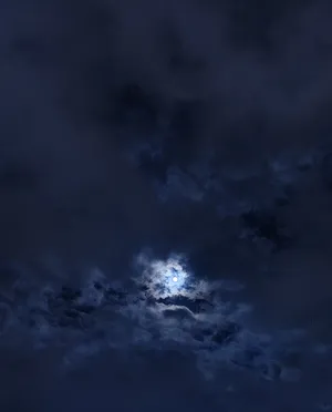 Vivo ‏Other ‏256 GB ‏Blue