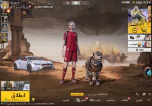 Pubg Accounts and Characters for Sale in Al Batinah
