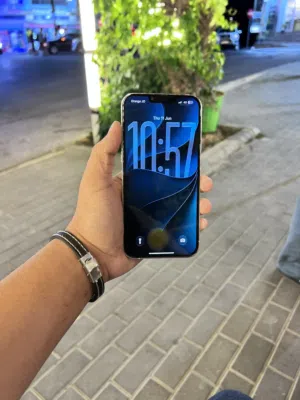 iPhone13 pro Max￼