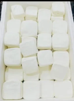 جبنة بلدية اغنام